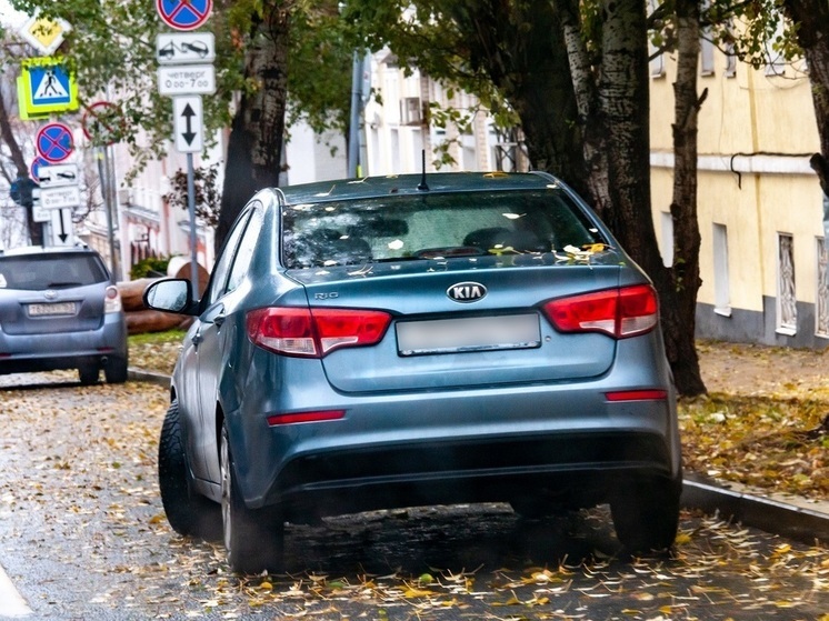 Автоэксперт Шмелев: поставки корейских авто в РФ выросли из-за анонса повышения утильсбора