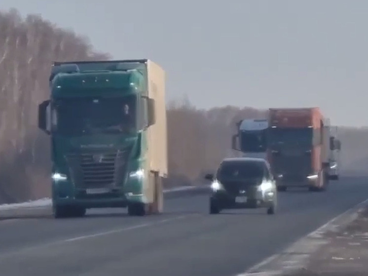 Омские автоинспекторы задержали 20 водителей, выехавших на «встречку»