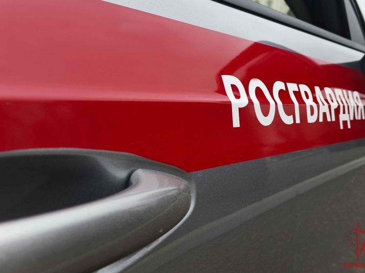 Тульские росгвардейцы задержали дебошира, нарушавшего общественный порядок