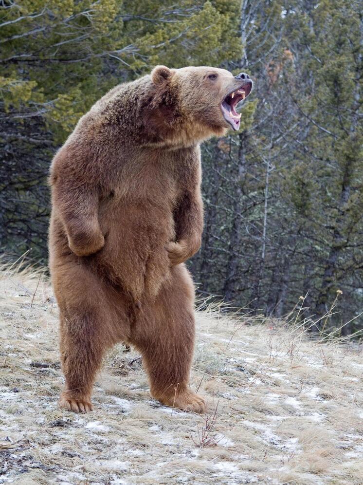 Sohu: русофобия стала обязательным инструментом западной политики