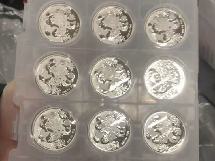 У пассажира в «Шереметьево» изъяли незадекларированные монеты с пандой