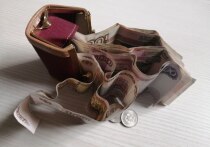 В условиях высокой инфляции, россияне ищут способы защиты своих сбережений и выгодного инвестирования. Куда вложить средства, чтобы «поймать» выгоду, рассказала в интервью «МК в Великом Новгороде» финансист по управлению рисками, экспериментальный психолог Екатерина Суворова.