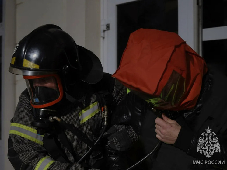 Ребенка и двоих пожилых людей вывели из пожара в многоквартирном доме в Чите