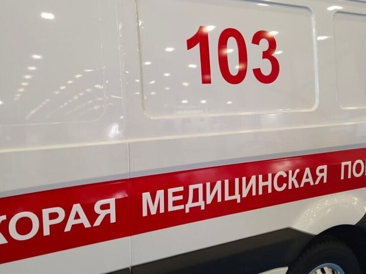 В Белинском районе столкнулись два грузовика, один водитель пострадал