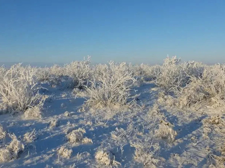 Завтра звезды расскажут о погоде в Калмыкии