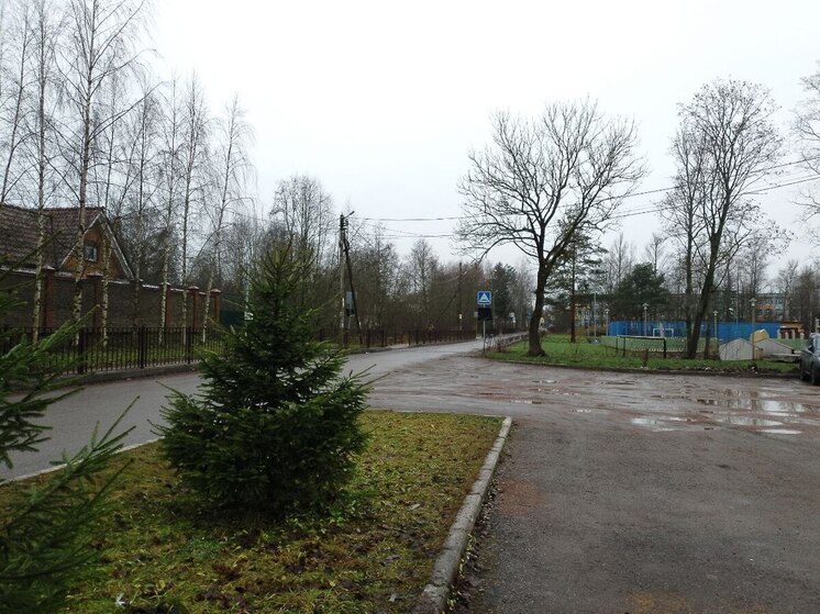 Ленобласть 16 декабря снова попрощается с зимой