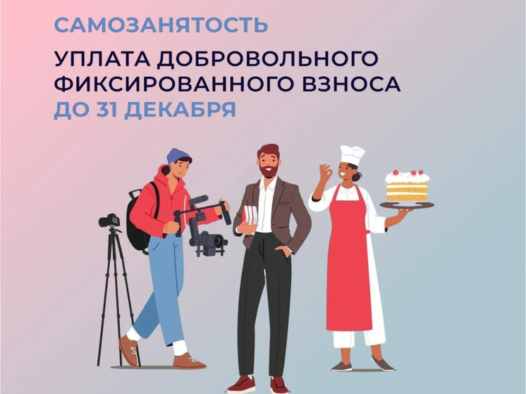 Самозанятые жители Калмыкии до конца года могут уплатить добровольные страховые взносы