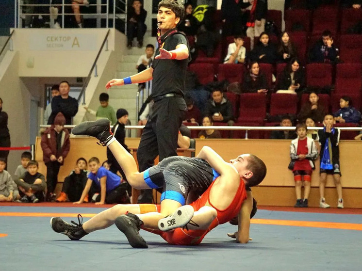 Калмыцкие борцы завоевали более 20 медалей на межрегиональном турнире в Элисте