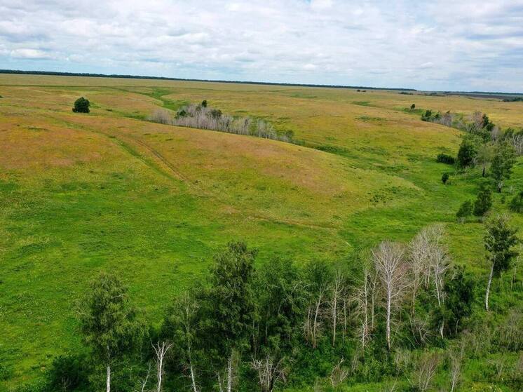 В Самарской области 60 памятников природы получили официальные охранные зоны