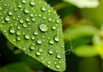 Мы ежедневно чему-то удивляемся