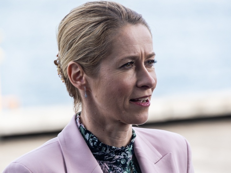 Каллас: поставки оружия Киеву в 2025 году обошлись ЕС в рекордные €27 млрд