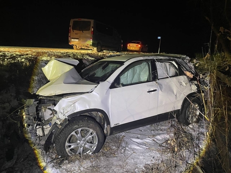 «Киа» сбила двух пешеходов в Зауралье: пять человек получили травмы