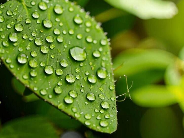 Мы ежедневно чему-то удивляемся