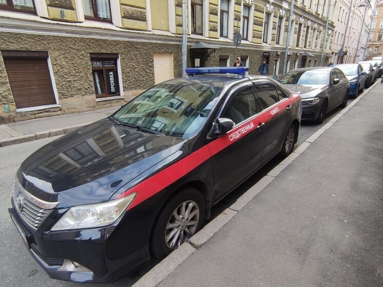 Бастрыкину доложат о расследовании нападения на учителя в петербургской школе