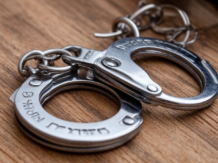 Мошенников из Новосибирска будут судить в Благовещенске