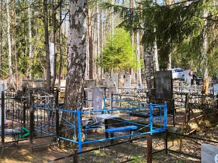 Смертность от туберкулеза в Подмосковье уменьшилась на 25% с начала 2025 года