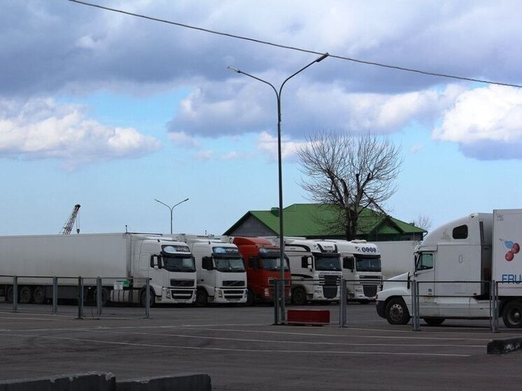 В Дагестане Россельхознадзор выявили 69 тонн заражённой растительной продукции