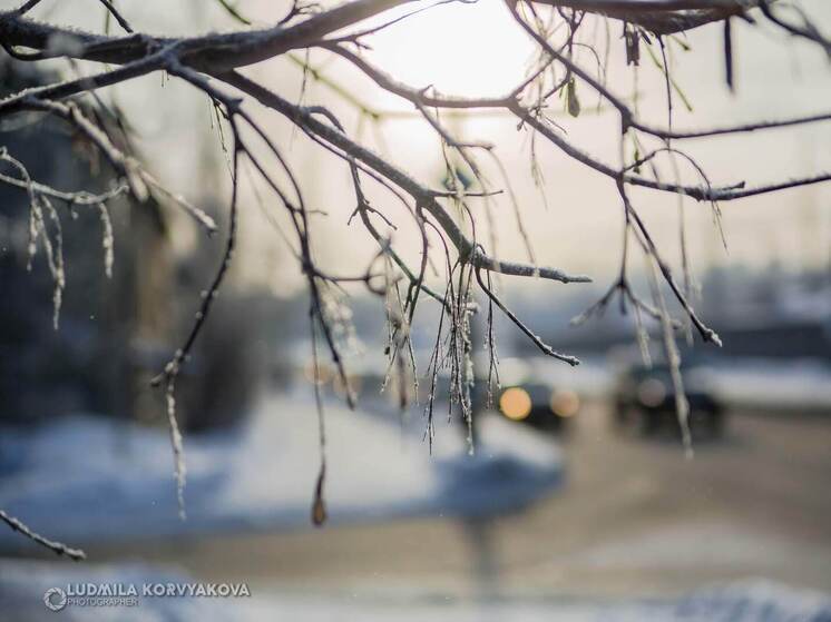 16 декабря в Карелии пройдёт дождь и потеплеет до +3°C