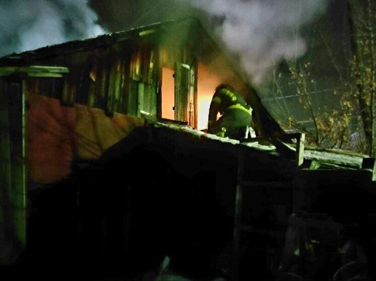 Житель частного дома погиб при пожаре в тульском Заречье