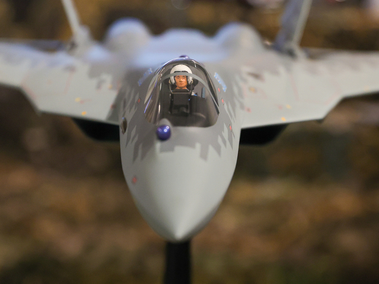 NI назвал российский истребитель Су-57 подходящих лишь для авиашоу