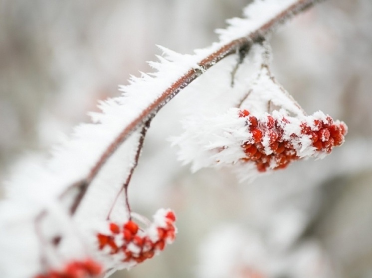 В Волгоградской области ночью 16 декабря мороз усилится до -14 градусов
