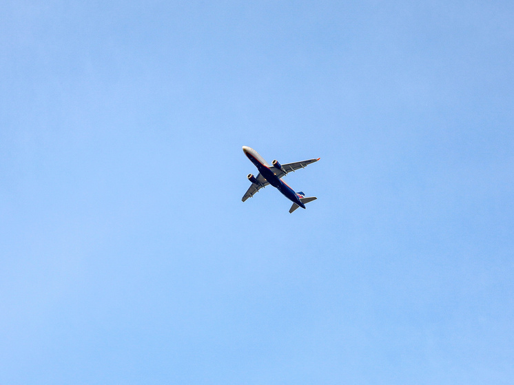 На борту самолета Air Arabia произошла массовая драка из-за начавшей рожать женщины