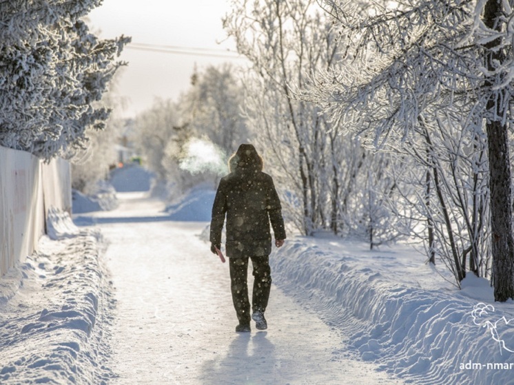 Неделю двадцатиградусных морозов посулили столице НАО