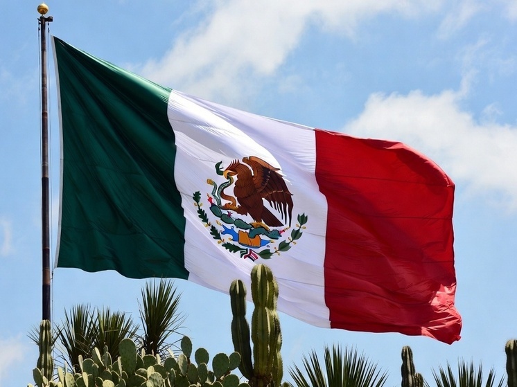 "Известия": Россия ответит на повышение пошлин со стороны Мексики