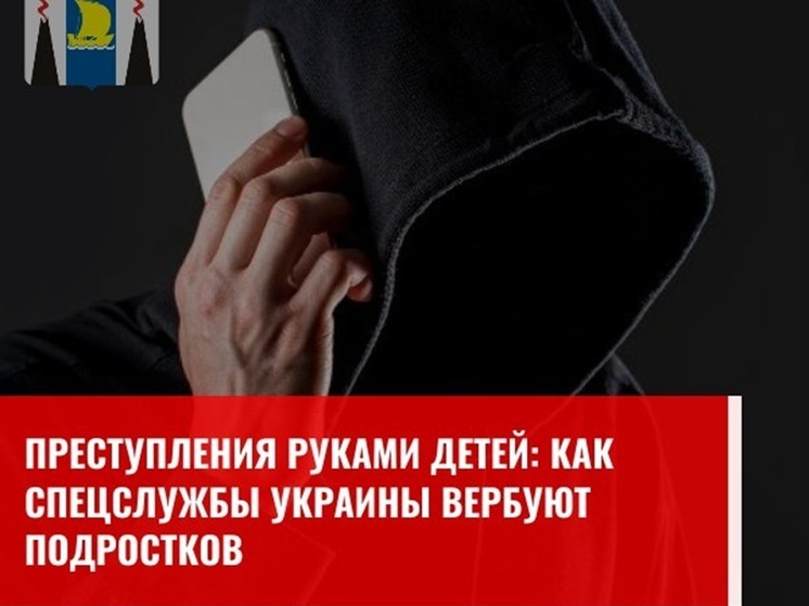 Сахалинцев предупреждают о вербовке детей через соцсети для совершения диверсий