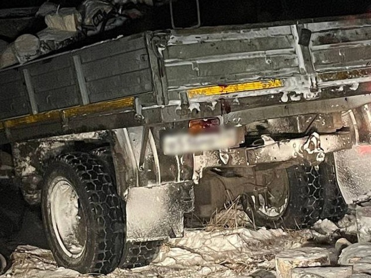 В Зауралье задержали подозреваемых в незаконной охоте на лося