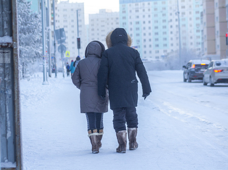 Прогнозы на январь в Новосибирске разнятся: от оттепели до морозов ниже -35°C