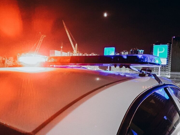 Бывший грузчик задержан в Шадринске по подозрению в угоне