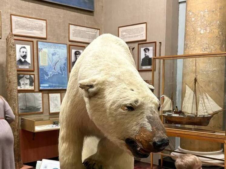 На острове Молокова в Красноярске планируют создать национальный парк-музей освоения Арктики