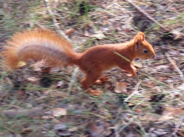 Вторник в Воронежской области обойдется без осадков
