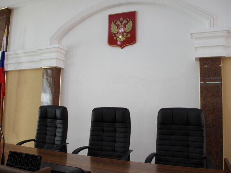 Житель Алтайского края получил семь лет колонии за попытку убить соседку