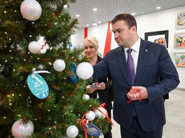 Губернатор Омской области исполнит детские мечты в рамках акции «Ёлка желаний»