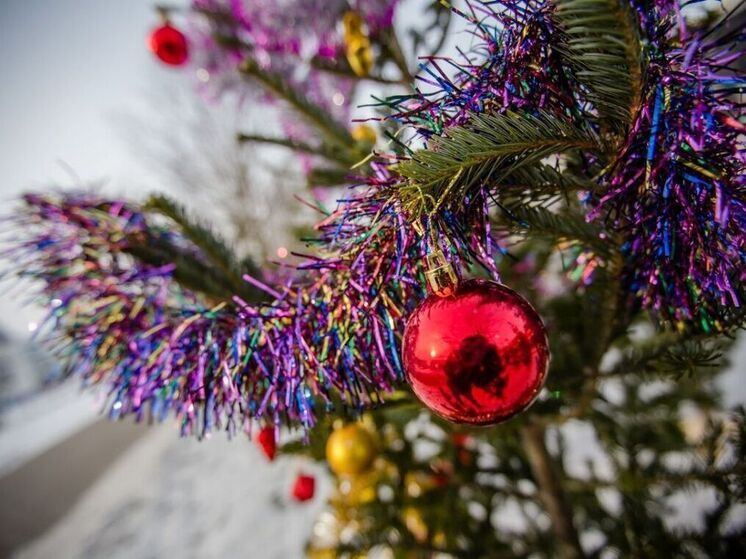 Традиционная новогодняя ярмарка пройдёт в Южно-Сахалинске 20 декабря