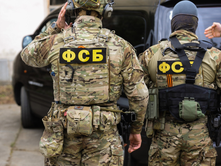 В ДНР задержали 16-летнего подростка за поджоги сотовых вышек