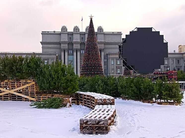 Из нашего обзора цен вы узнаете, где и за сколько сегодня можно купить новогодние елки и сосны в Самаре. Для этого мы обошли не менее 10 елочных базаров областной столицы