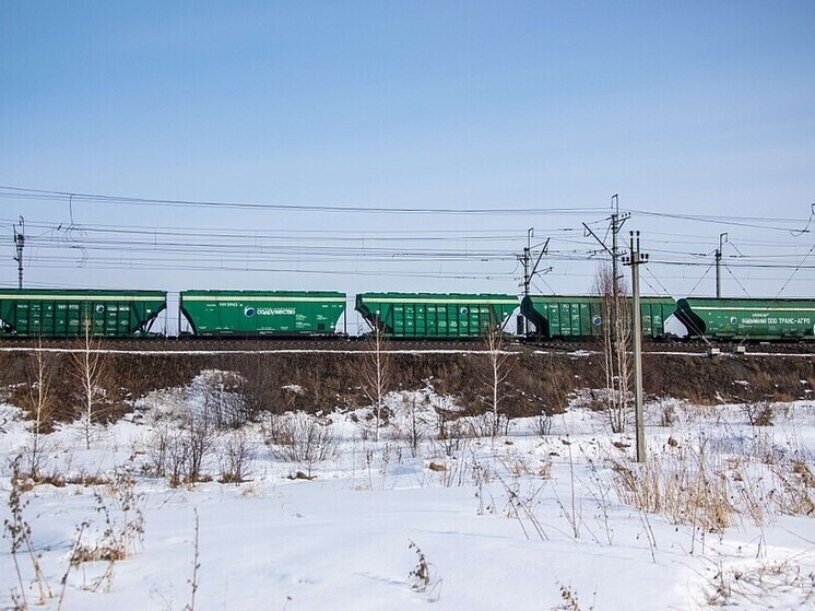 Погрузка зерна на ЗСЖД выросла в 2 раза в январе – ноябре 2025 года
