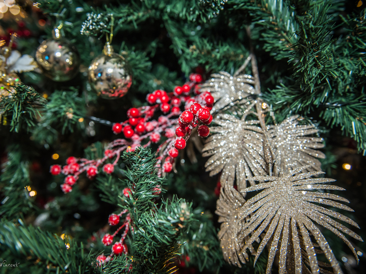 Более 390 спектаклей и фестиваль снежных скульптур: новогодняя программа Новосибирска