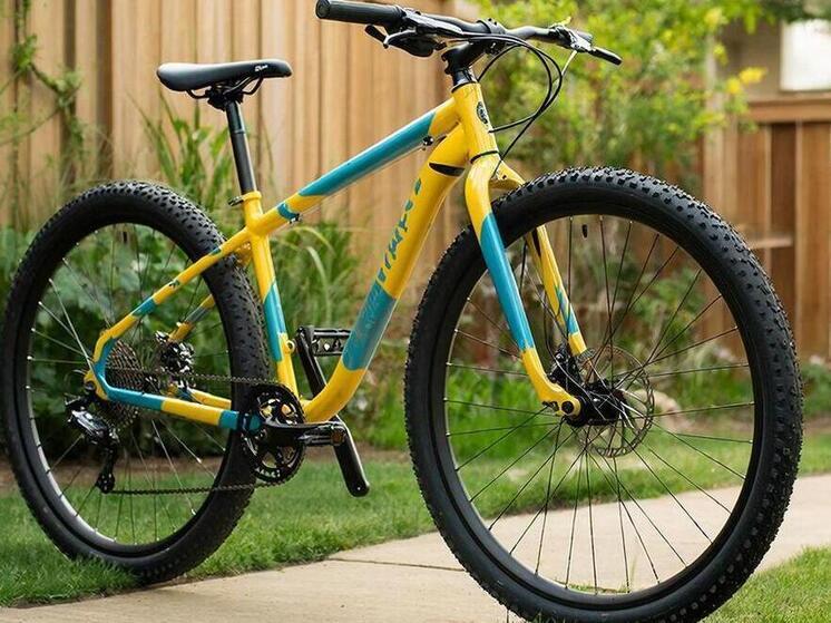 Сахалинец украл велосипед у своей знакомой после отказа дать покататься