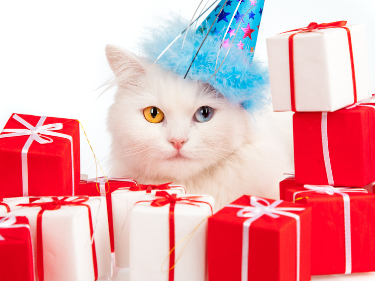 Жители Архангельска в среднем потратят 16 800 рублей на новогодние подарки