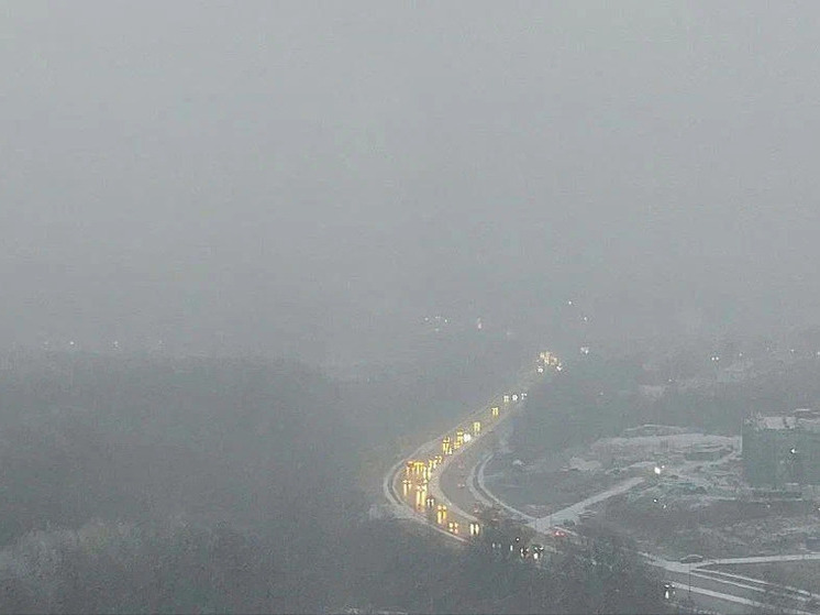 Рязанцев предупредили о тумане и мокром снеге