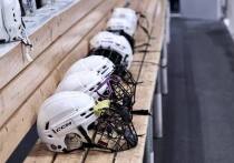 Хоккеисты-легионеры давно стали для нас чем-то привычным