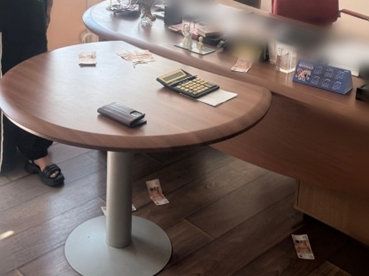 Дело о взятке экс-главы управления культуры Пензы Веры Фейгиной передано в суд