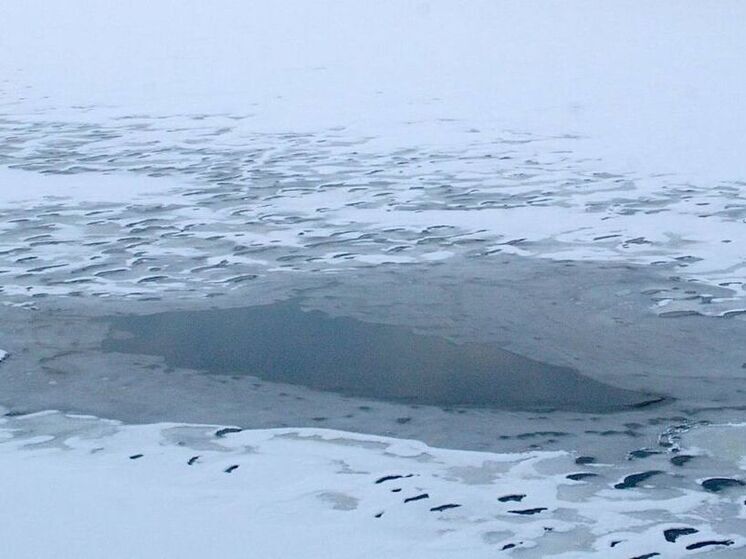 Трагедия на озере в штате Мичиган: водолазы подняли тела двух водителей снегоходов