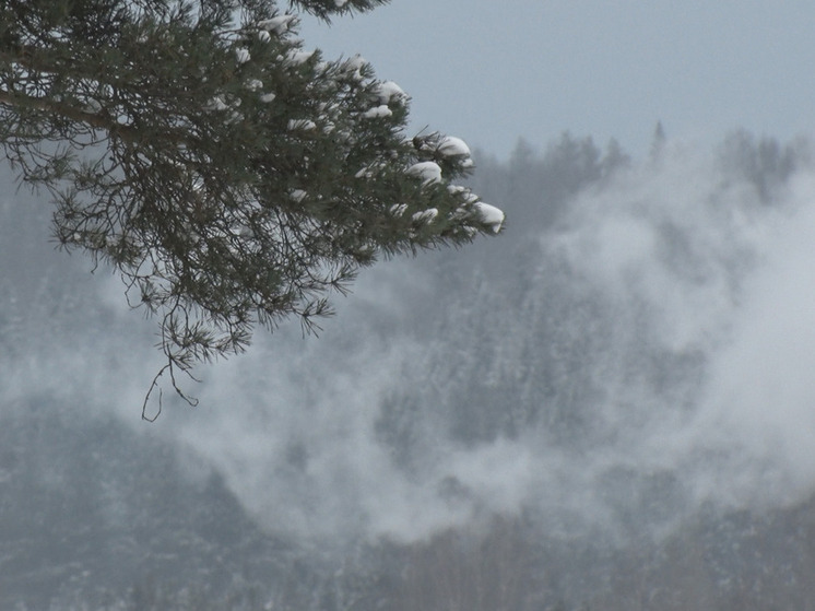 В Волосовском районе был зарегистрирован «дом-призрак»
