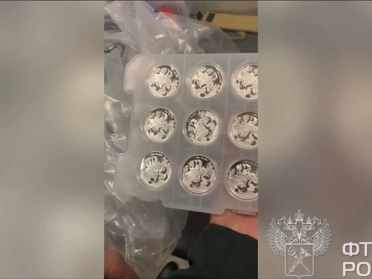 Пассажир из Китая вёз в Петербург монеты с пандами на 700 тысяч рублей