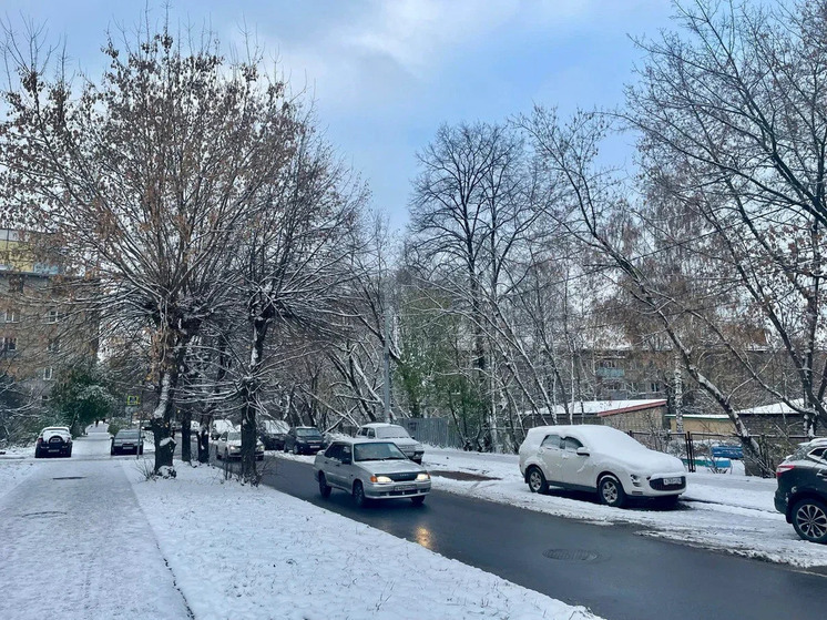 Во вторник днем воздух в Рязанской области прогреется до 0°С